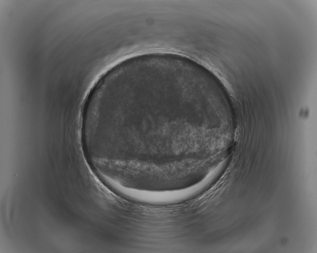 X0000096641508200803041114