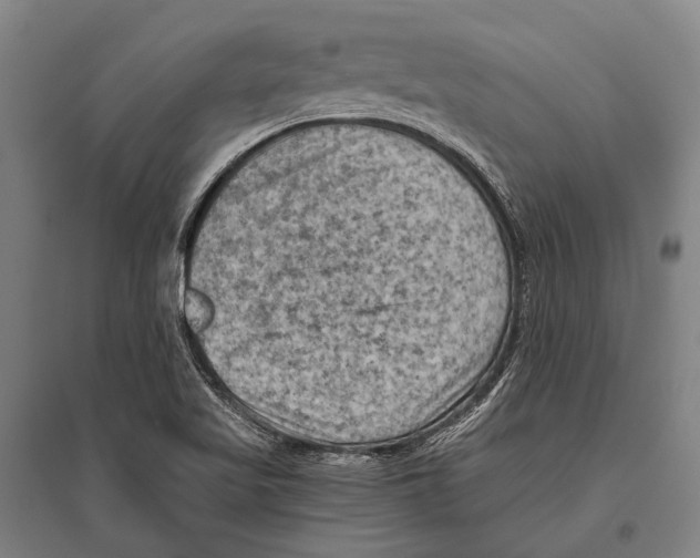 X0000096641509200803041114