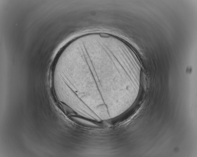 X0000096641510200803041114