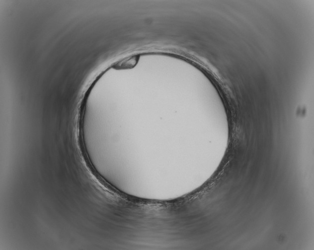 X0000096641512200803041114