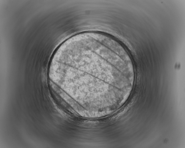 X0000096641513200803041114