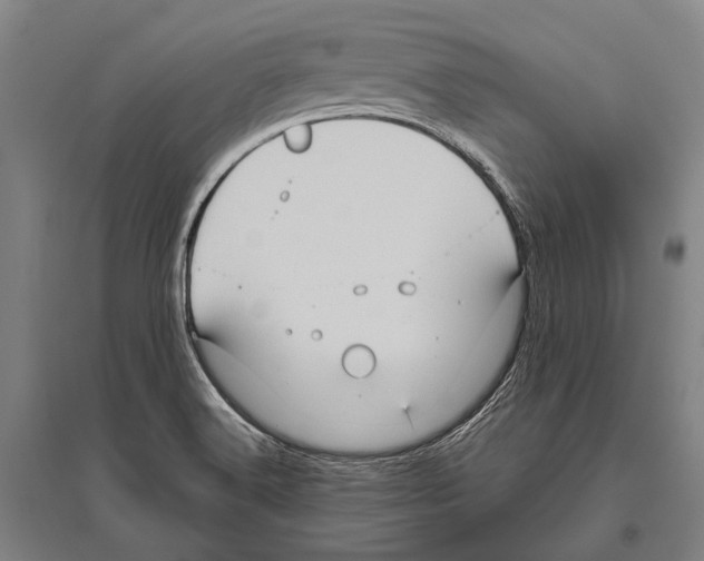 X0000096641516200803041114