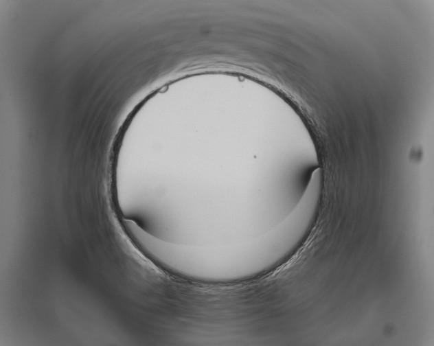 X0000096641518200803041114