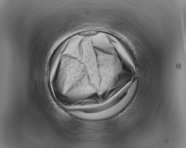 X0000096641520200803041114