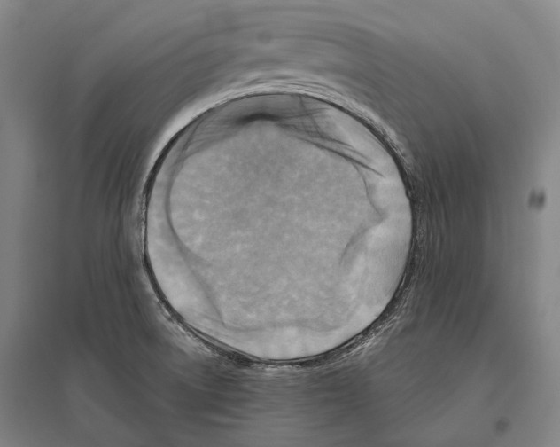 X0000096641522200803041114