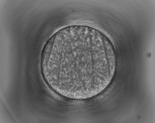 X0000096641525200803041114