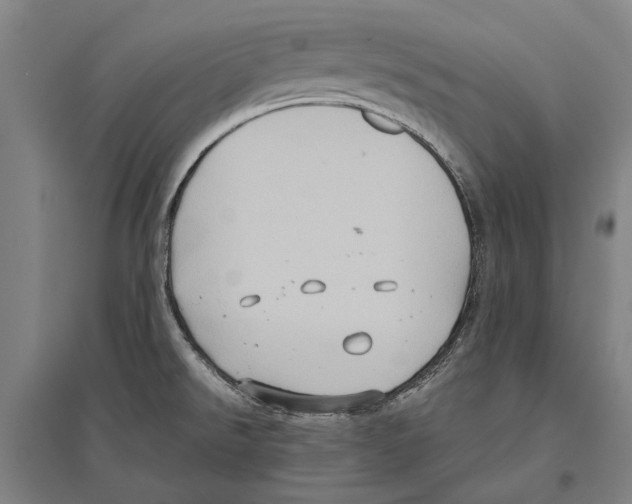 X0000096641526200803041115