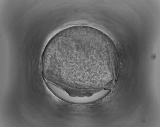 X0000096641527200803041115