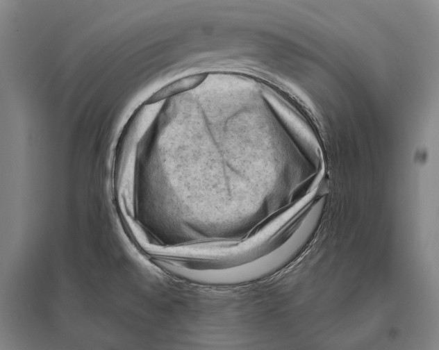 X0000096641528200803041115