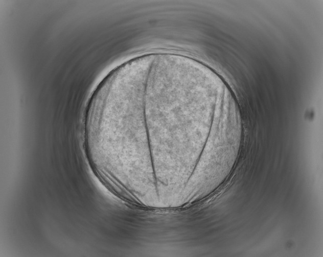 X0000096641531200803041115