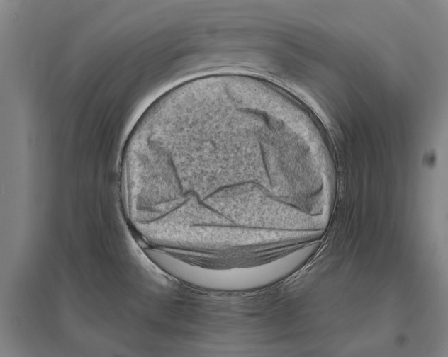 X0000096641532200803041115