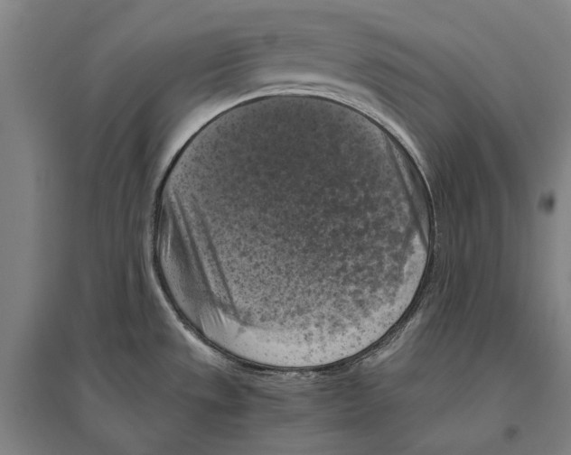 X0000096641533200803041115