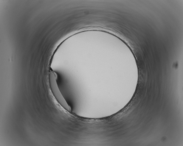 X0000096641534200803041115