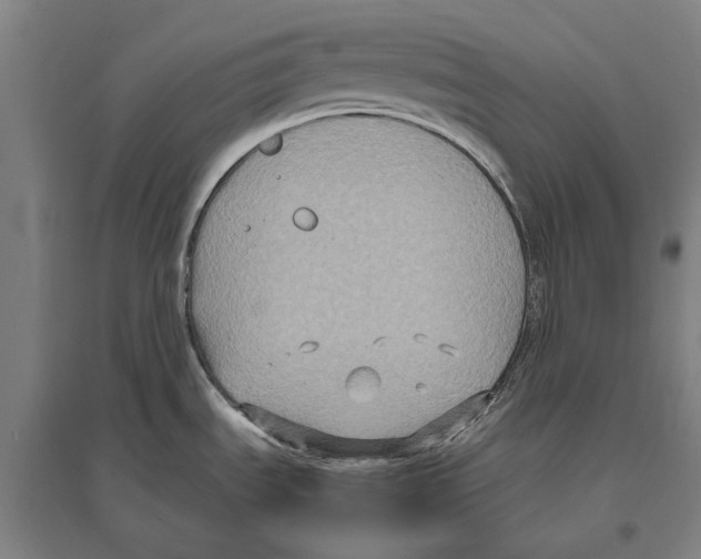 X0000096641535200803041115