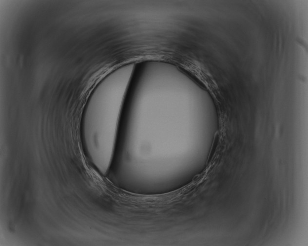 X0000096650001200802050944