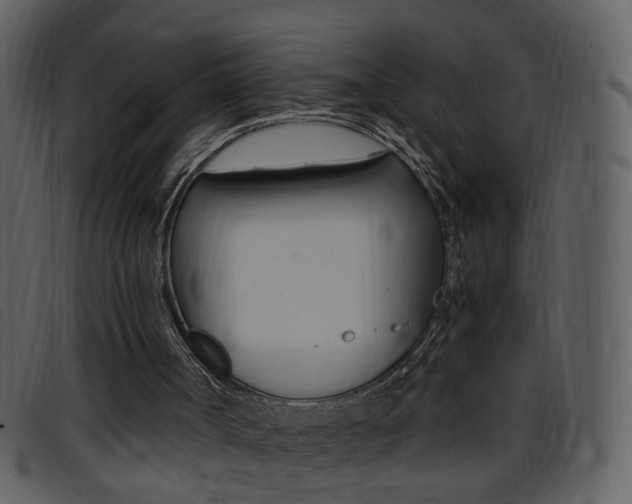 X0000096650002200802050944