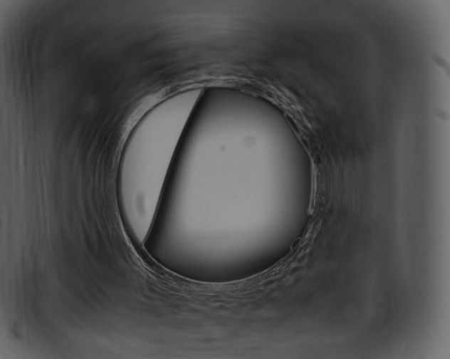 X0000096650003200802050944