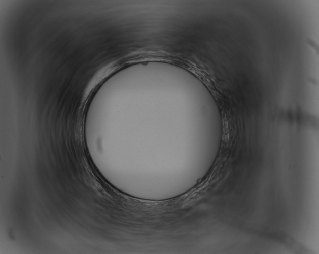 X0000096650004200802050944