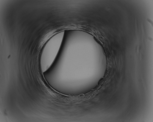 X0000096650005200802050944
