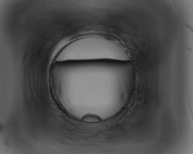 X0000096650006200802050944