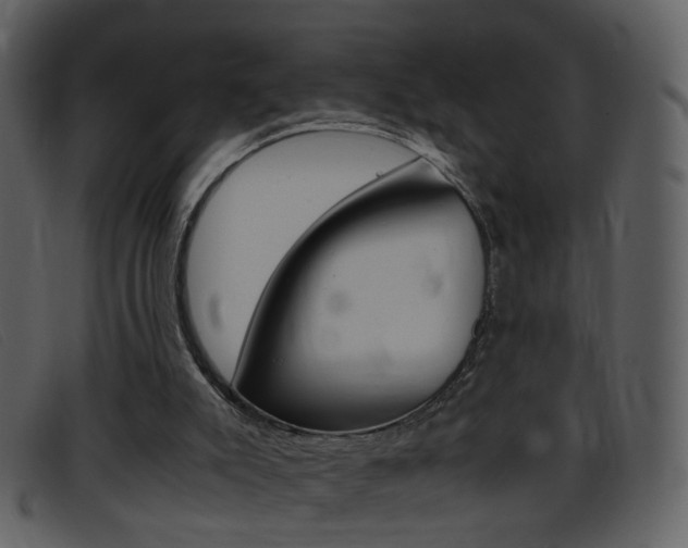 X0000096650007200802050944