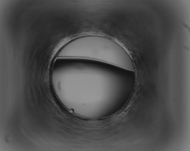 X0000096650008200802050944