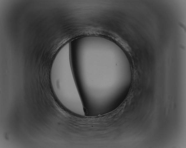 X0000096650009200802050944