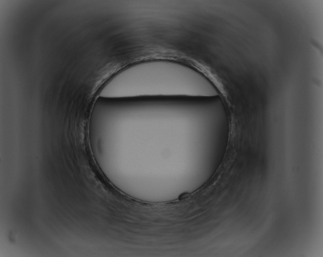 X0000096650010200802050944