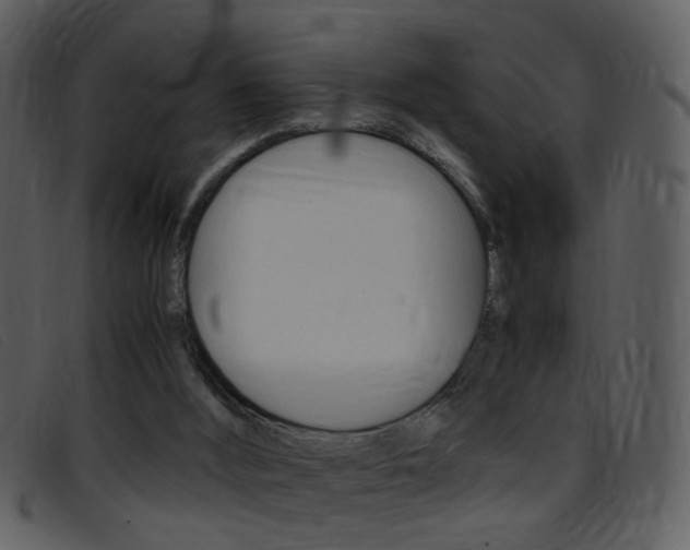 X0000096650012200802050944