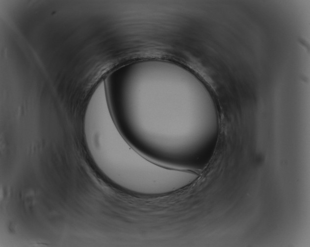 X0000096650013200802050944