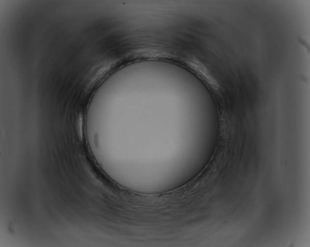 X0000096650014200802050944