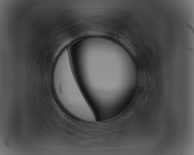 X0000096650015200802050944