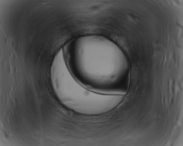 X0000096650017200802050944