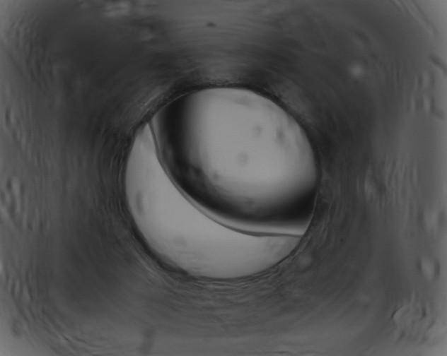 X0000096650021200802050944