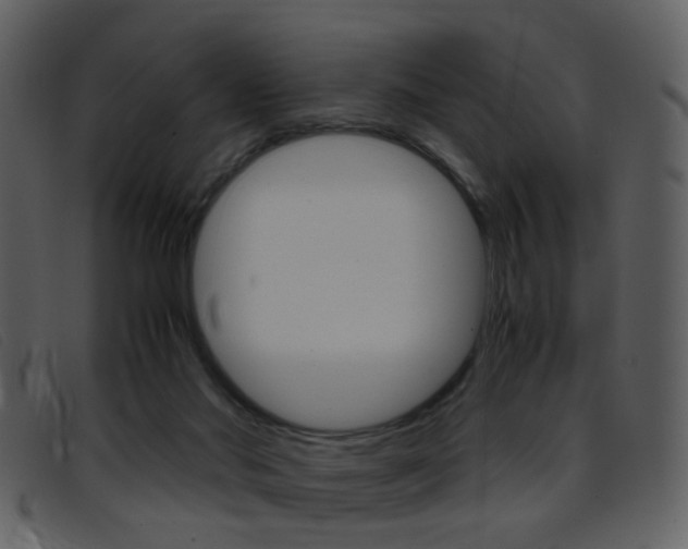 X0000096650022200802050944
