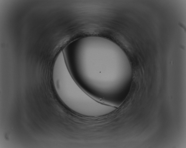 X0000096650023200802050944