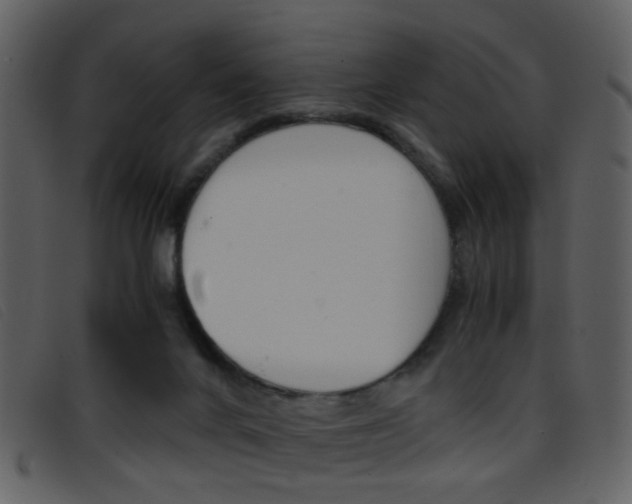 X0000096650024200802050944
