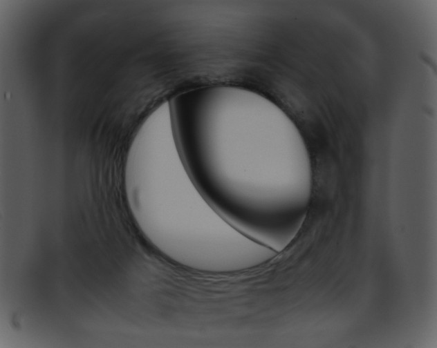 X0000096650025200802050944