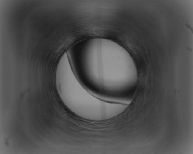 X0000096650027200802050944