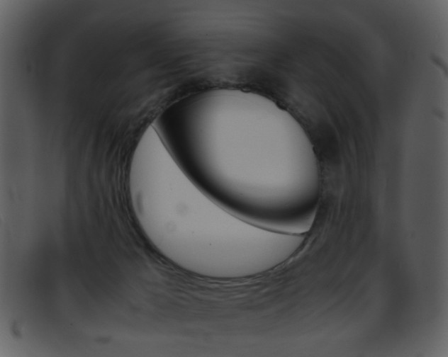 X0000096650029200802050944