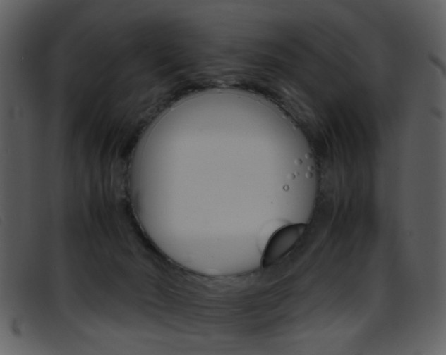 X0000096650030200802050944