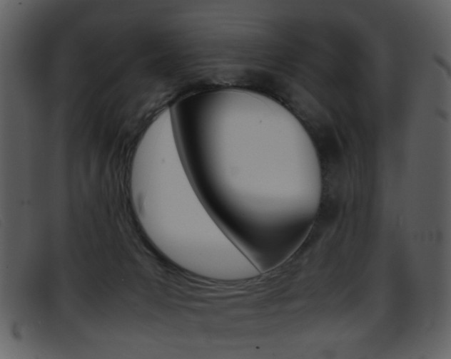 X0000096650031200802050944