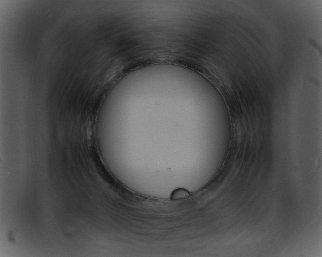 X0000096650032200802050944