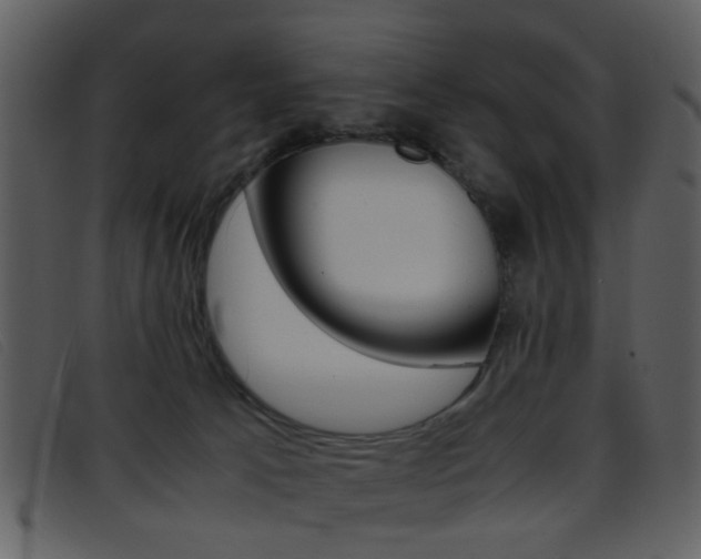 X0000096650033200802050944