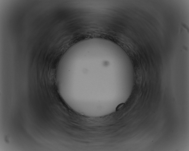X0000096650034200802050944