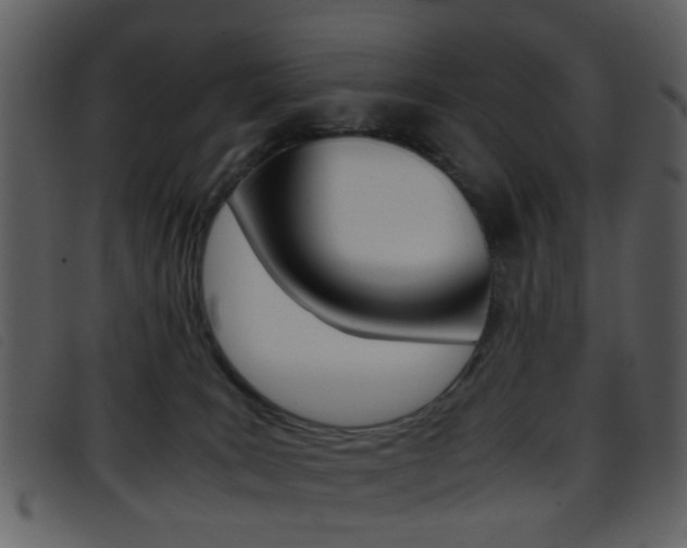 X0000096650035200802050944