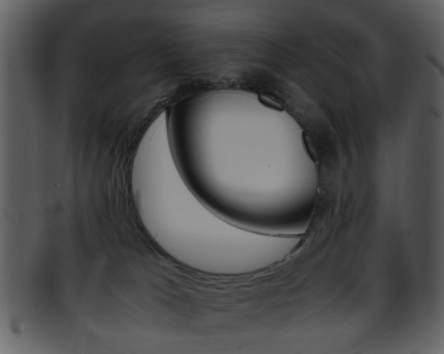 X0000096650037200802050944