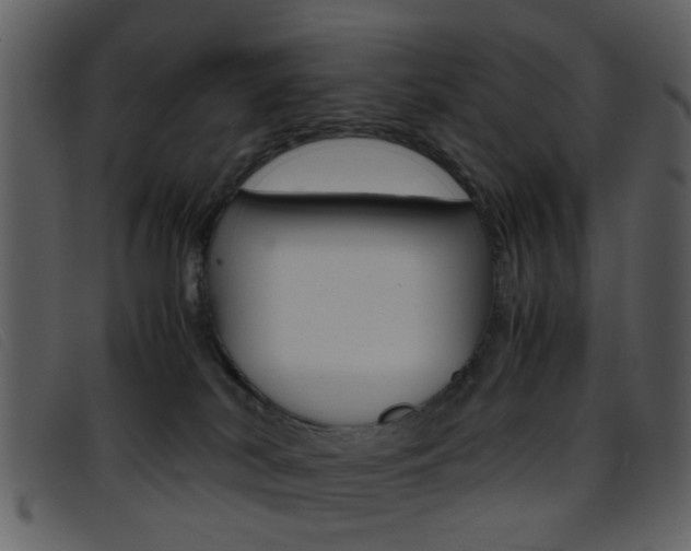 X0000096650038200802050944
