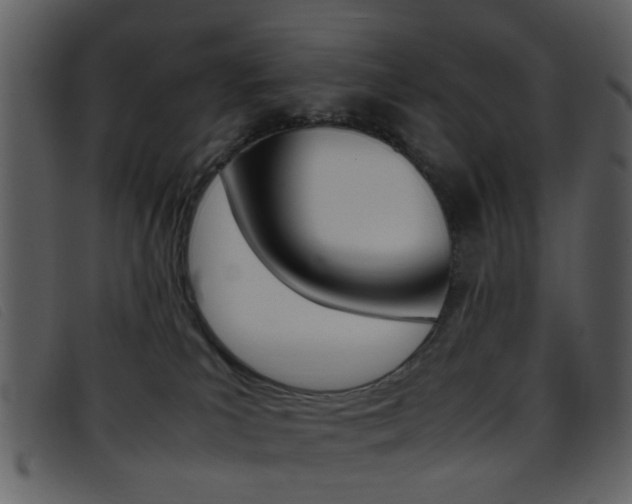 X0000096650039200802050944