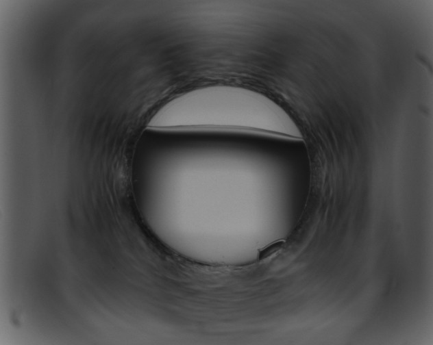 X0000096650040200802050944